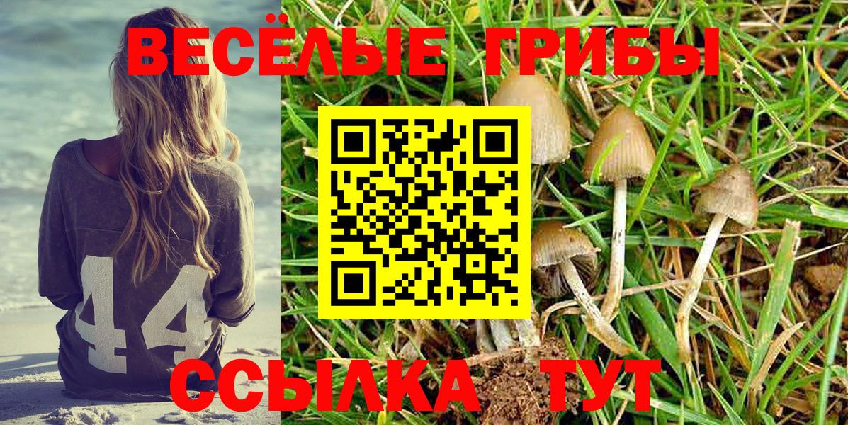 Куйбышев  Псилоцибиновые грибы Psilocybine cubensis  Вход с VPN  Галлюциногенные грибы ЛСД 